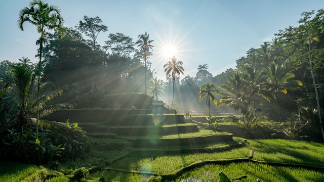 Bali Travel Guide